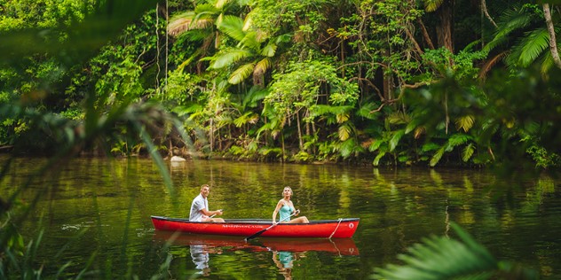  A man and woman canoe a river surrounded by dense lush rainforest with sunlight streaming through.