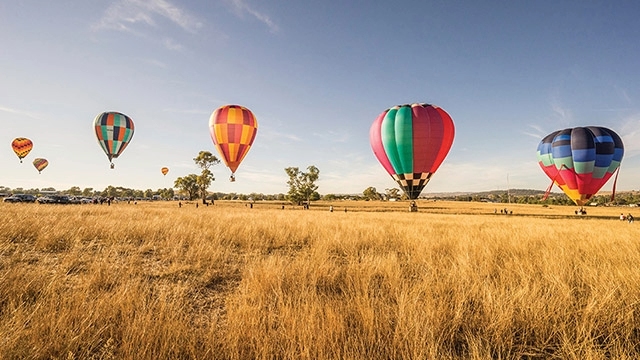 Canowindra balloon challenge nsw hot air balloons take off at Canowindra balloon challenge nsw