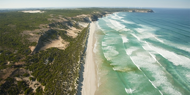 arial view of tree covered coastline with white sandy beach and small turquoise waves