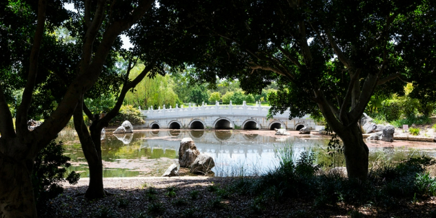  A white stone bridge with seven rounded arches beneath it going over a still pond framed by trees in a lush garden.