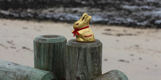 A gold covered Lindt chocolate bunny sitting on the top of a wood post on a beach. 