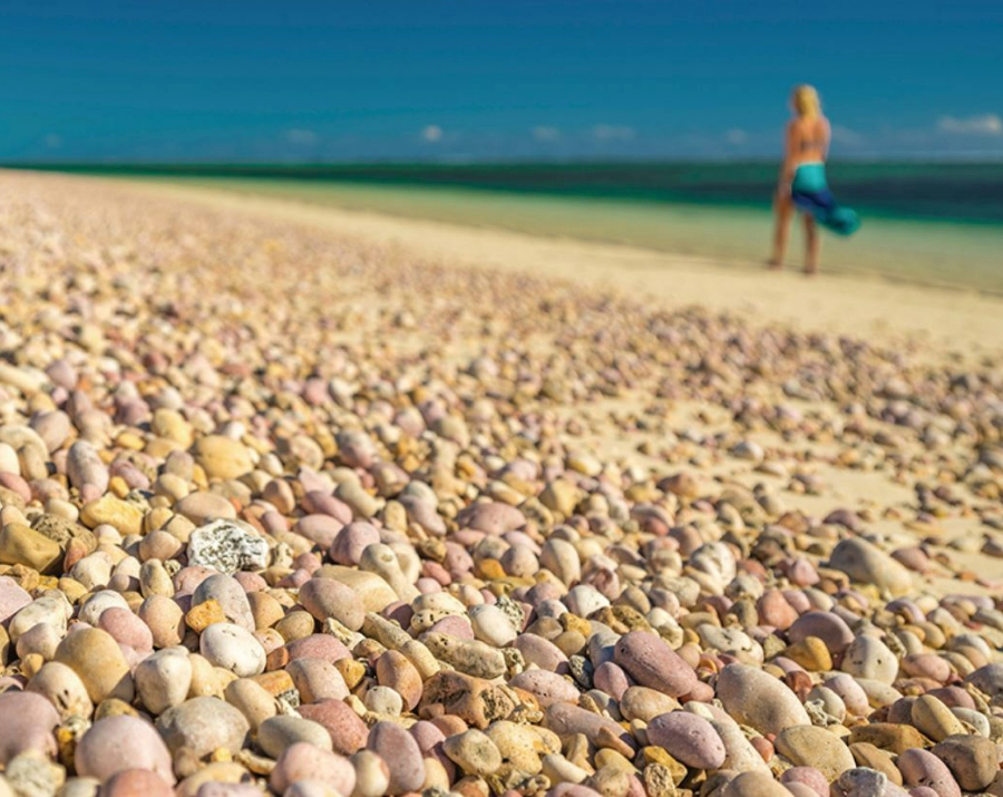 coral-beach-ningaloo-reef-wa-900x715 Slide 3
