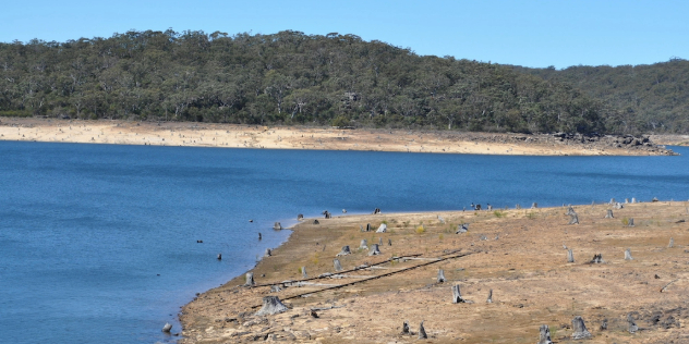  A river brought low by drought, exposing sandy earth with tree stumps along the bottom of forested hills along shore. 