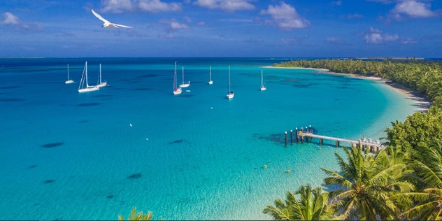 A curved beach lined with lush palm trees, with a small white jetty out to turquoise water so clear that the white sailboats appear to float in midair on the water. 