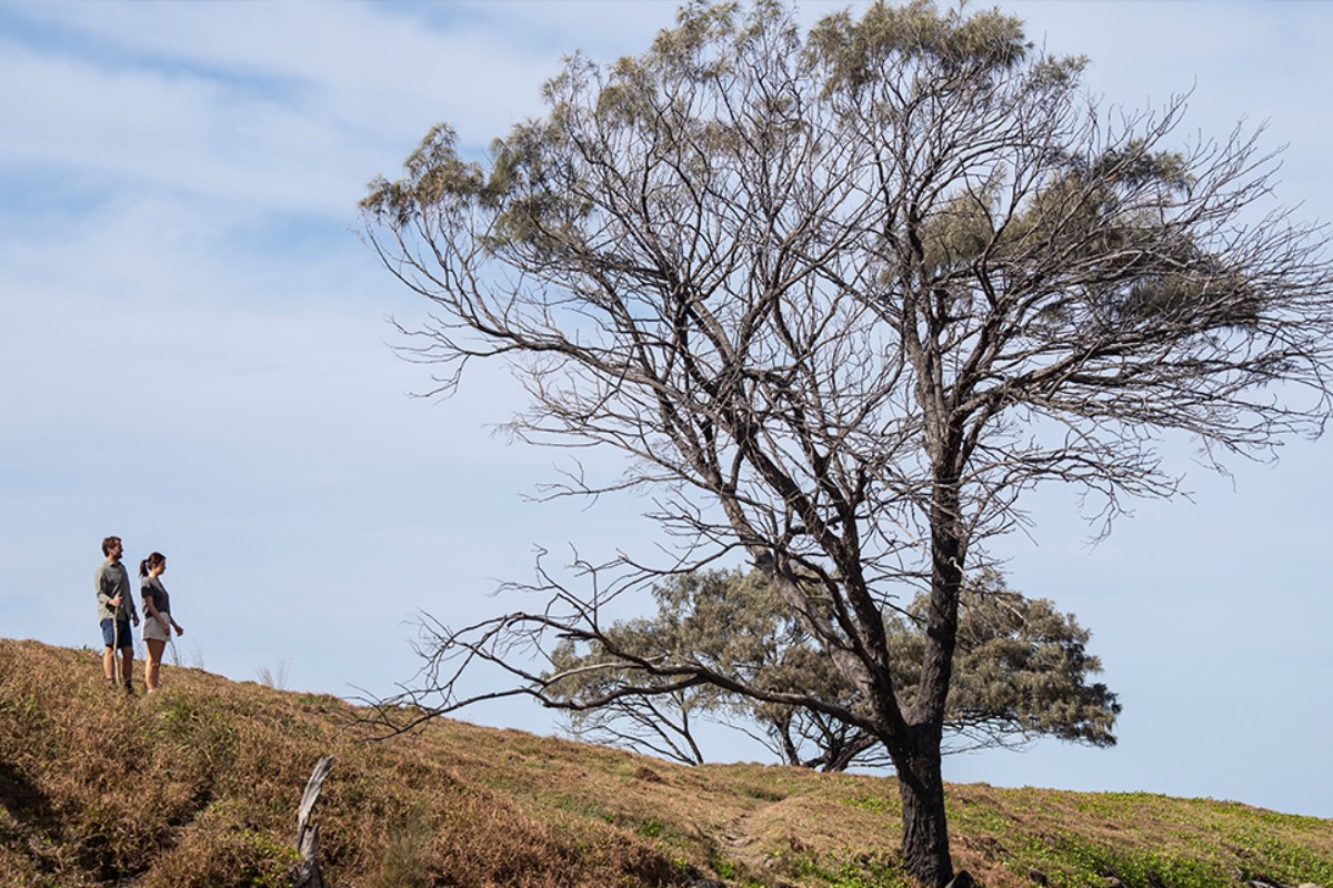 couple-on-yuraygir-coastal-walk-nsw-1200x800 Slide 6