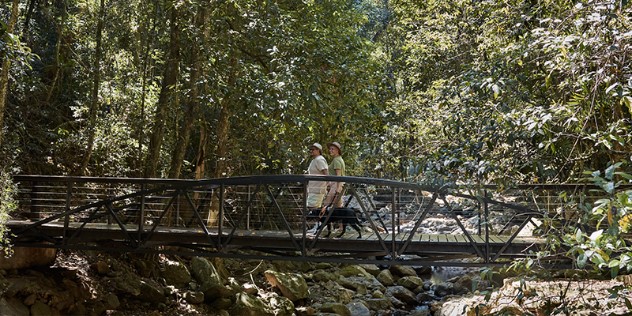 A middle-aged couple walks a black labrador dog across a short metal bridge over a rocky creek, surrounded by dense trees and foliage, the sun peeking through the leaves. 