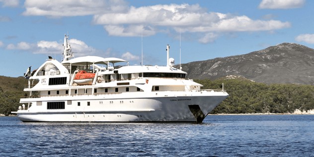 A white cruise ship glides along dark blue water in front of a mountain and mangroves along the shore, under a blue, cloudy sky. 