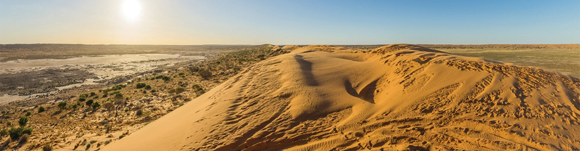 desert-sand-dune-qld-1920x500 The top of a sand dune with vehicle track marks going over it, lit by the sun and surrounded by scrubby, sandy desert.