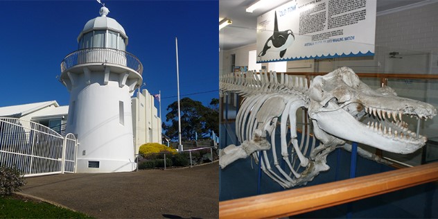 A collage of two photos, the first a small lighthouse against blue sky on a hill, the second, an entire killer whale skeleton hung in a museum. 