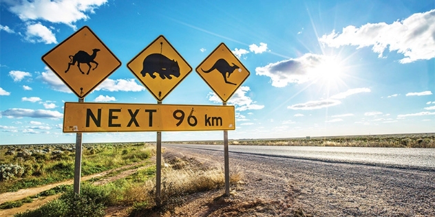 animal hazard sign for camels, wombats and kangaroos next 96 kilometres