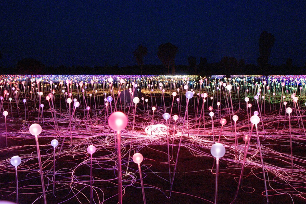 field-of-light-uluru-nt-1200x800 Slide 3