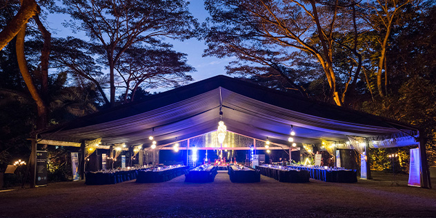 Flames of the forest