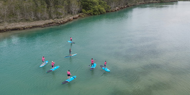 Stand up paddleboard