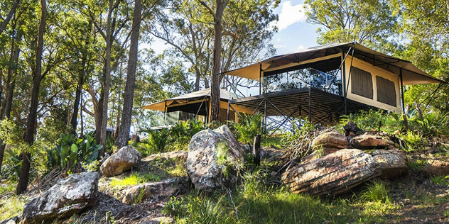  Two glamping tents on platforms on stilts at the top of a rocky forest hill, among sunlit trees. 