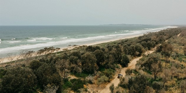 A long beach that curves off into the distance on a grey, cloudy day. Where the beach ends there’s a thick forested area, broken by a single SUV driving down a sandy road parallel to the beach.