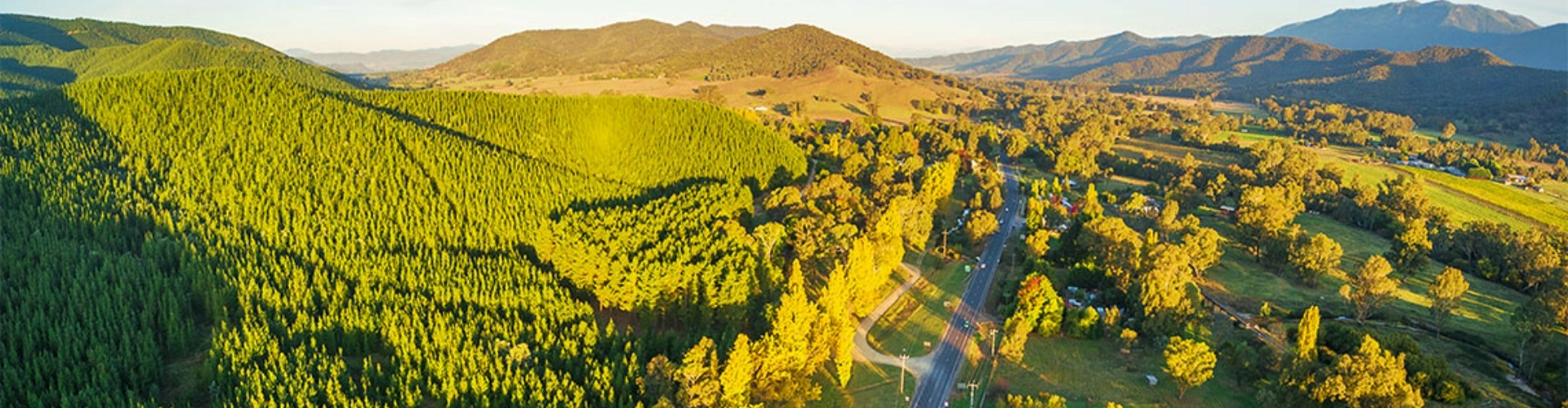 great-alpine-road-gippsland-vic-1920x500 A panoramic view of a road running through tall, sunlit, tree-covered hills leading to a mountain range in the distance.
