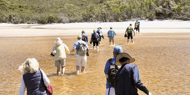 A tour group wades through shallow water on a sunny day, onto a white beach with green trees that begins to rise towards a mountain base where they'll begin their hike. 