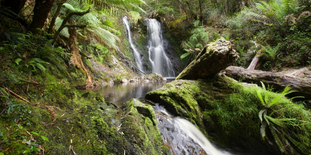 A small waterfall falling into a pool, then flowing again down more rocks in the foreground, surrounded by lush rainforest. 