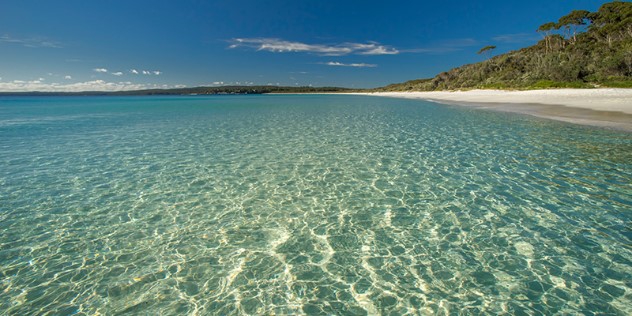 Clear blue green water stretching along a sandy beach with dense foliage, as seen from the water. 