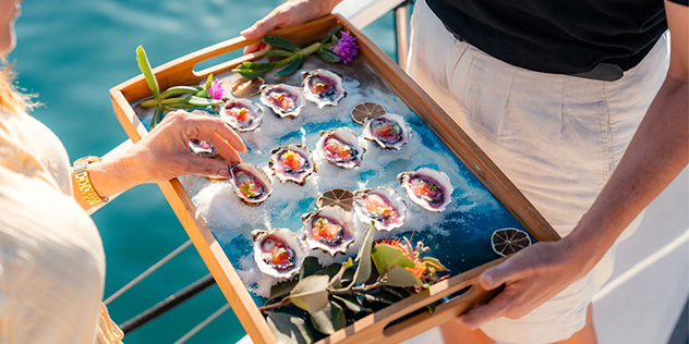 Oysters on a tray