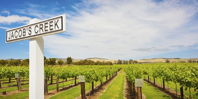 vineyards at Jacob's Creek winery Barossa Valley South Australia