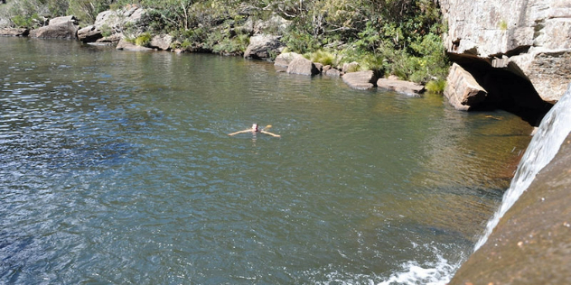  A view over a small waterfall going into a clear rock pool with a woman swimming through it, surrounded by foliage. 