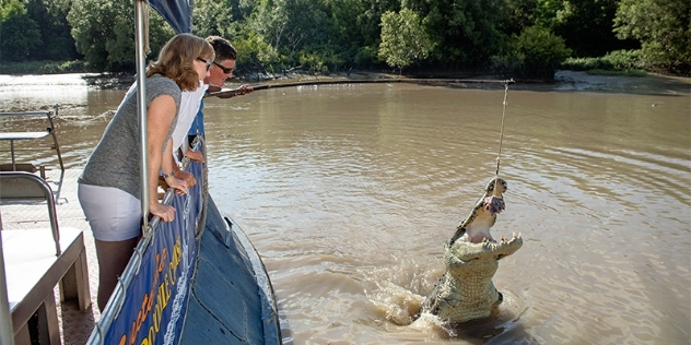 two people watch a large crocodile jump to snatch meat from a line suspended above the water