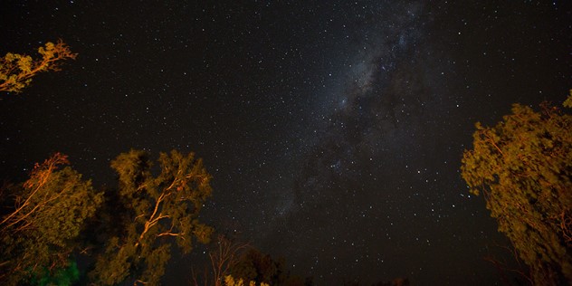 Photo of the milky way galaxy as seen from below, framed by orange-lit gum trees in Kakadu, Northern Territory. 