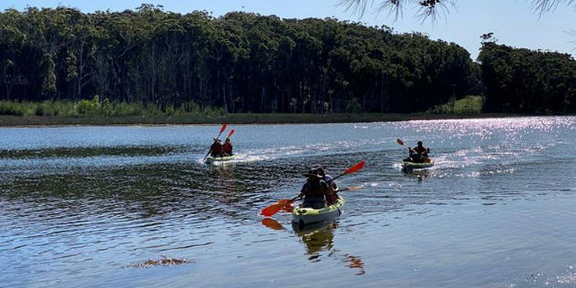  A group of three kayaks paddles along a sparkling lake lined with tall trees under blue sky.