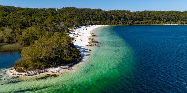  Wide view of the curve of an island coastline with a white sand beach leading up to thick rainforest.