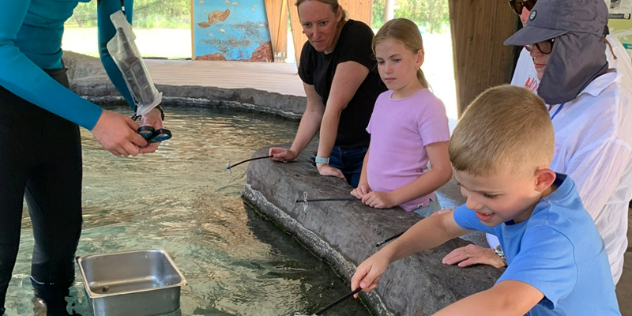 Kids looking into a pool of water at sharks and stingrays, as a staff member supervises.