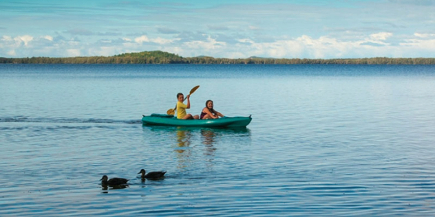 A boy and girl kayak along a still lake as two ducks swim alongside them, with a green shore and blue sky in the distance.