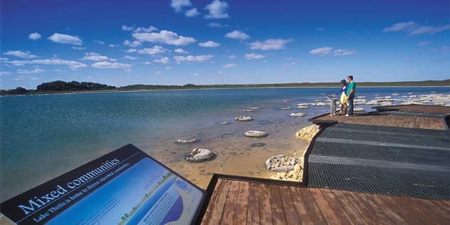 people reading the information sign on a boardwalk overlooking a saltwater lake with visible fossilised rocky rounds