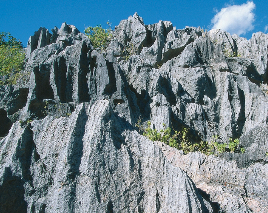 limestone-karst-ridge-qld-900x715 Slide 3