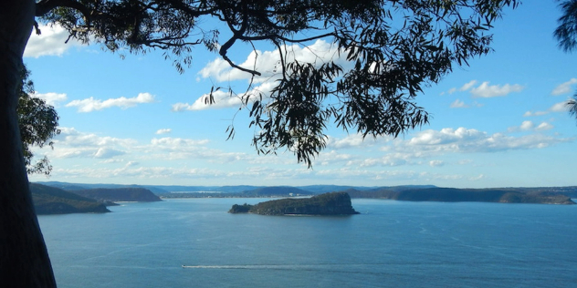 A silhouetted tree in the foreground frames a sea surrounded by hilly green heads, and a single, small, tree covered, wedge shaped island.