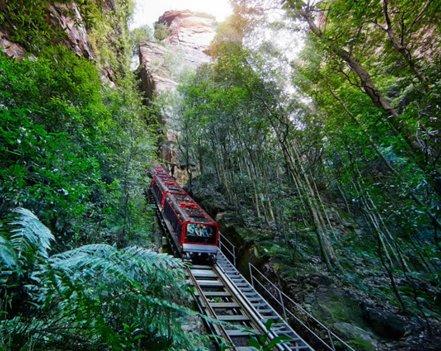 lyrebird-pass-train-blue-mountains-900x715 Slide 2