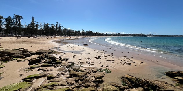 A rounded, sandy beach with scattered black rocks in the foreground, and swimmers and beachgoers visible as specks along the beach. Tall spruce-like trees are lined behind the beach under blue sky. 