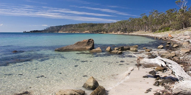 white sand and clear water at empty Maria Island beach