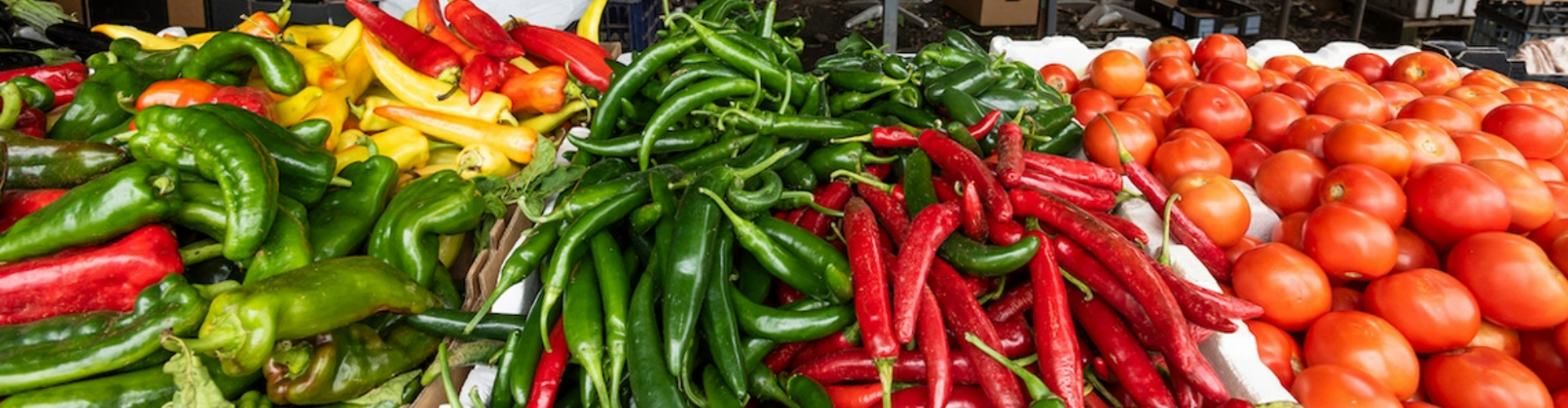 market-table-full-of-vegetables-1920x500 A bench at a market full of red, yellow and green peppers and tomatoes at Sydney's urban farms.