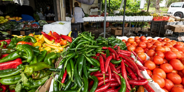  A bench at a market full of red, yellow and green peppers and tomatoes at Sydney's urban farms.