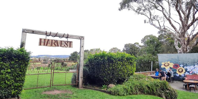 wooden arch with wooden sign that says Harvest outside the Harvest restaurant