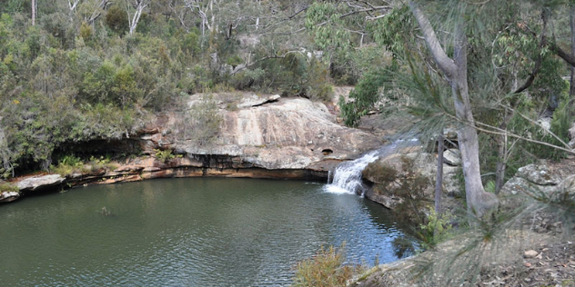  A pool in a forest with smooth, rounded rocky sides and a small waterfall pouring into it.