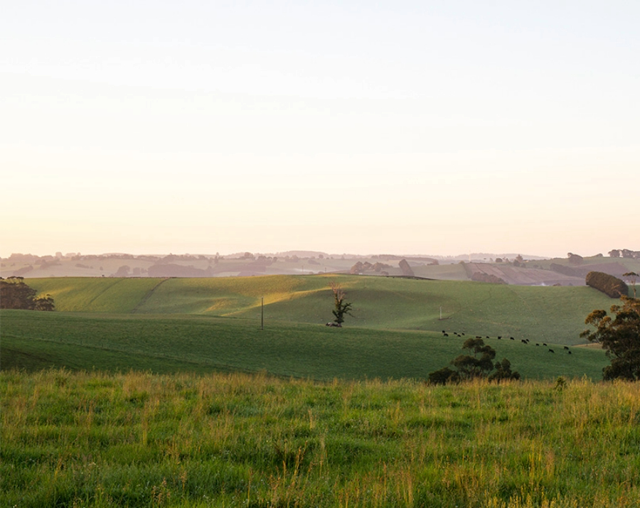 mirboo-north-hills-vic-900x715 Slide 1