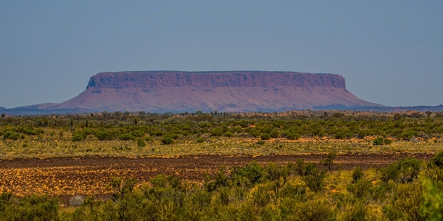 colourful grasslands and trees in the foreground of flat-topped mount conner