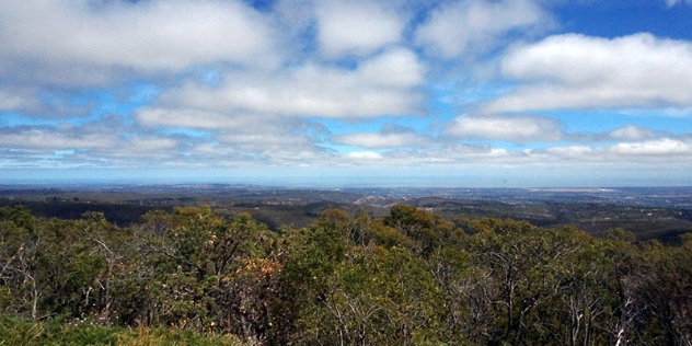 tree top view of Mount Lofty South Australia