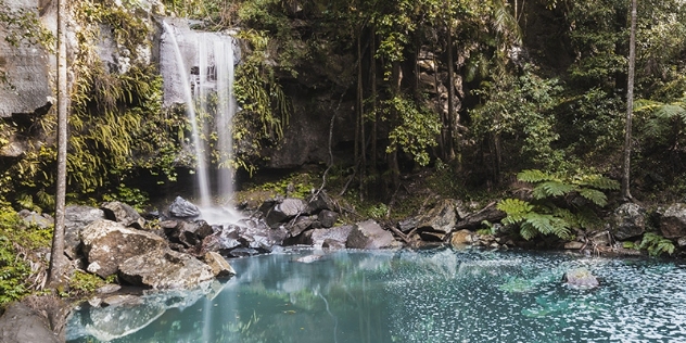 waterfall spills down rockface into shady pool surrounded by rainforest