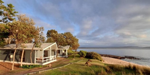 Two low-set beach houses in front of a sandy beach, two kangaroos graze on the grass in front of the houses, and a tall green hill is visible across the water.