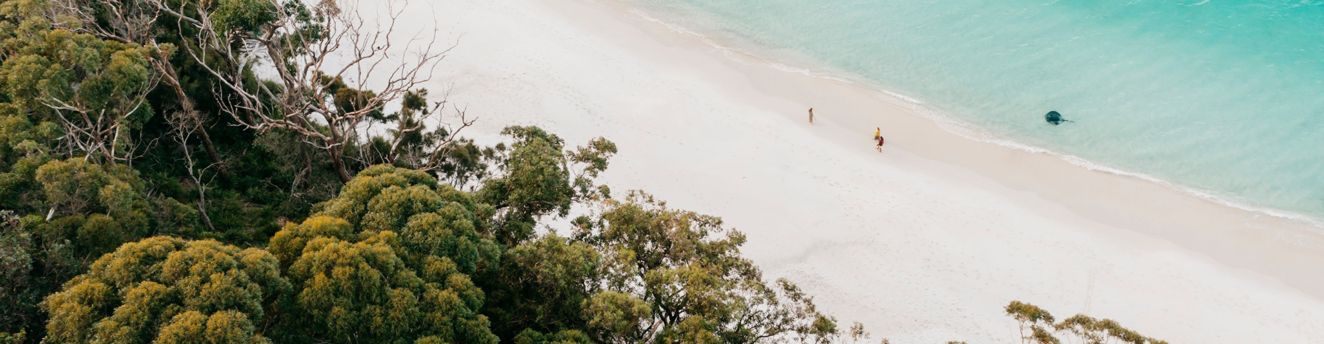 Ariel shot of Murrays Beach, Jervis bay