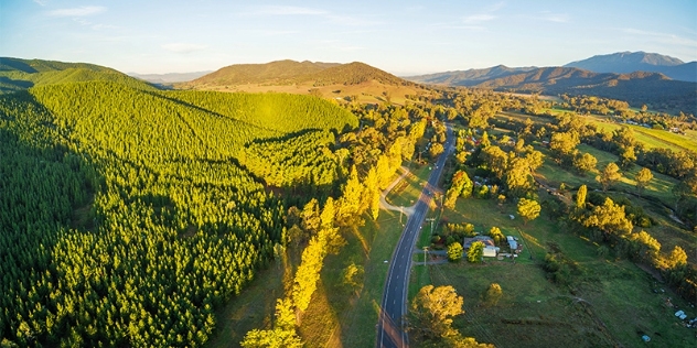 arial view of Myrtleford VIC