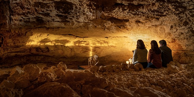 Three women sit together in a rocky cave, looking at the opposite cave wall that is lit with a warm-yellow projection of silhouetted animals walking along. 